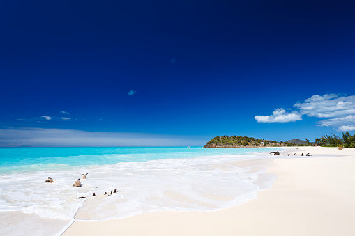 A clean white caribbean beach with deep blue sky and turquoise water.