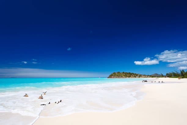 Clean White Caribbean Beach With Blue Sky stock photo