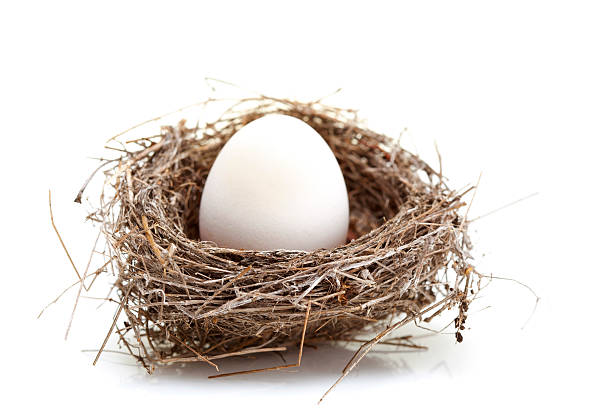 гнездо и яйцо - easter nest стоковые фото и изображения
