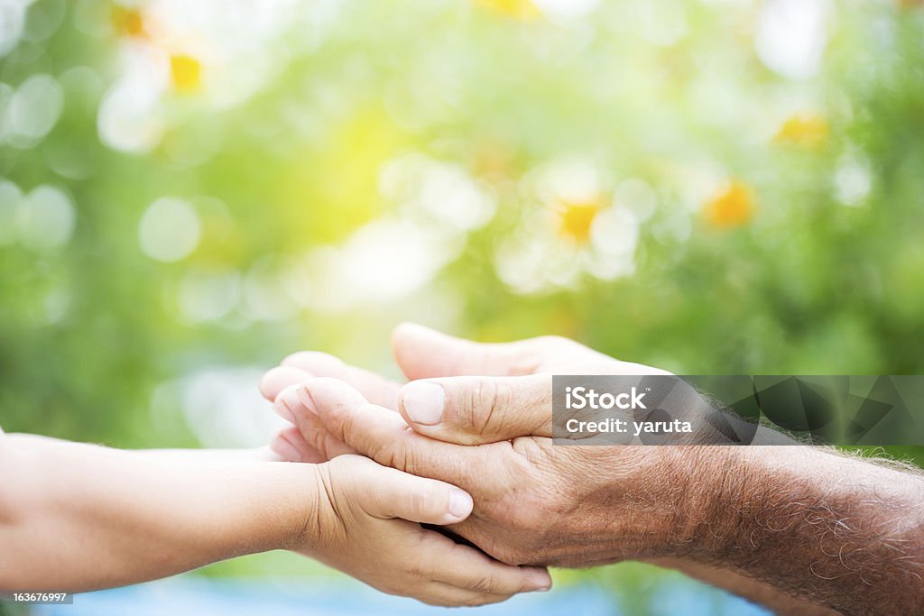 Child and adult holding each other's hands Senior man and baby holding empty hands against green spring background Active Seniors Stock Photo