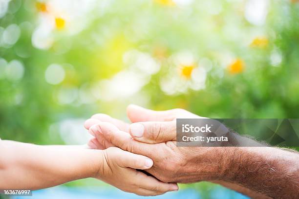 Child And Adult Holding Each Others Hands Stock Photo - Download Image Now - Active Seniors, Adult, Beautiful People