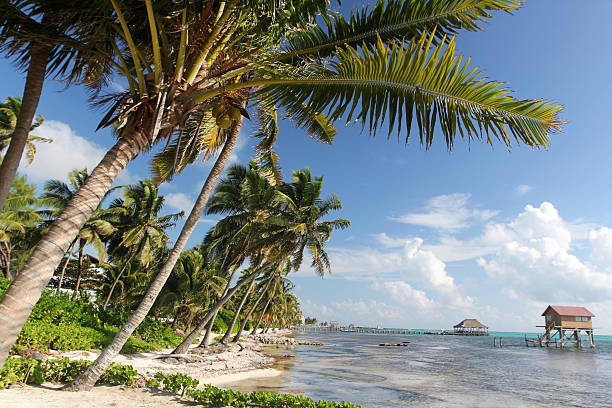 san pedro belize - san pedro imagens e fotografias de stock