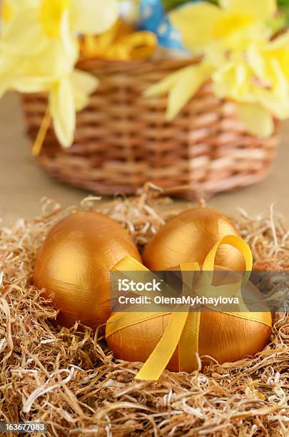Easter Eggs In The Nest Stock Photo - Download Image Now - Animal Egg, Animal Nest, Beauty