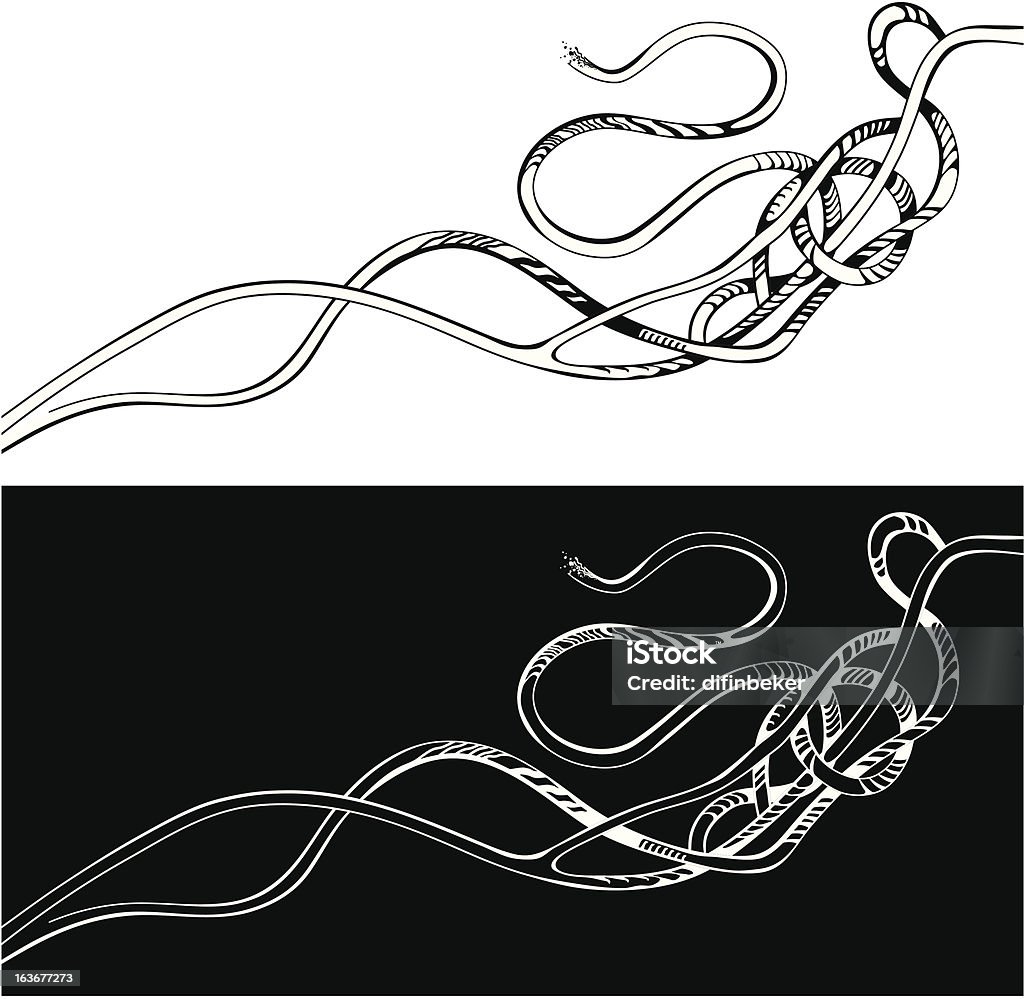 結び目 - コンピュータグラフィックスのロイヤリティフリーベクトルアート