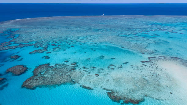 istock Aerial view of Walker Reef, GBR, Australia 1636784005