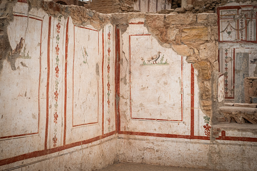 Interior decoration details of Terrace Houses in Ephesus Ancient City. Izmir, Turkey