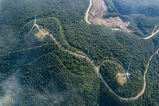 A vertical bird's-eye view of a wind turbine in a forest on a sunny day