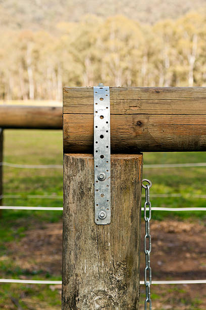 istock Closeup metal strip fastener on wooden pole, copy space 163679526