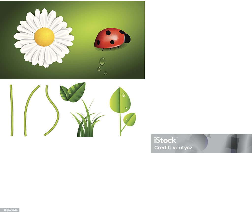 Świeże Wiosenne i letnie Natura elementy - Grafika wektorowa royalty-free (Bez ludzi)