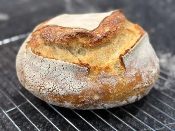 Gold round of fresh sourdough bread straight out of the over. Selective focus on perfect texture of crunchy crust. Loaf sits on wire cooling rack on top of dark gray granite countertop