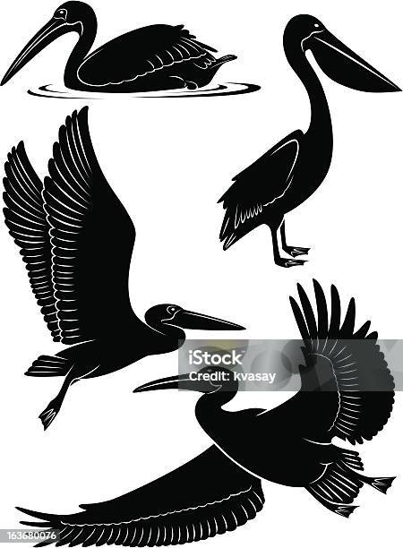 Pelican Stock Illustration - Download Image Now - Pelican, Flying, In Silhouette