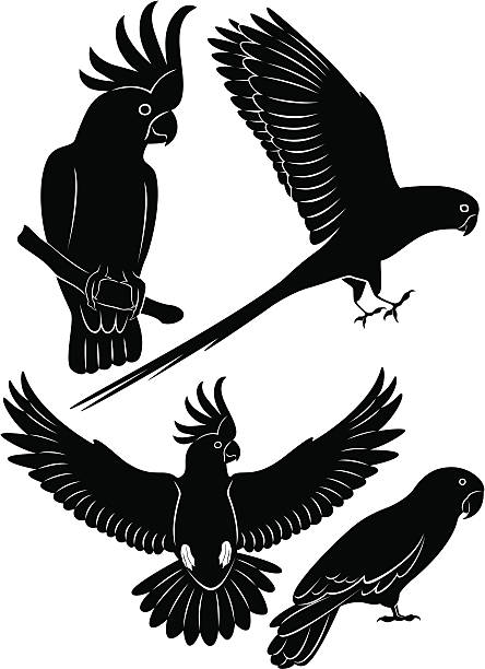 parrot The picture shows a parrot parrot silhouette stock illustrations