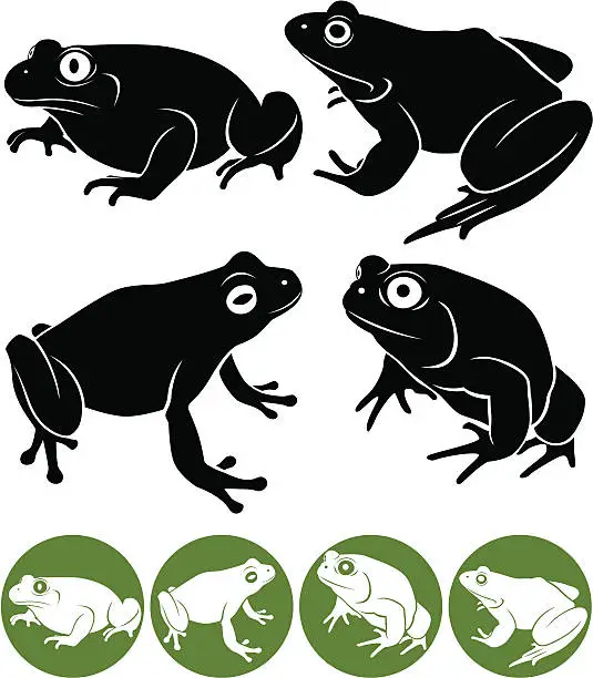Vector illustration of Several solid illustrations of frogs in different positions