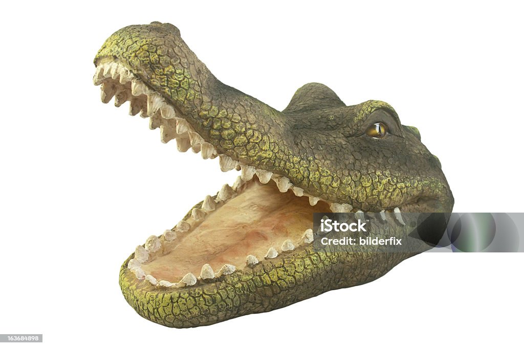 Cabeça de Crocodilo - Foto de stock de Animal royalty-free