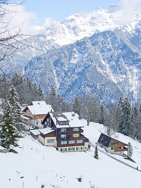 istock Winter holiday house 163685158