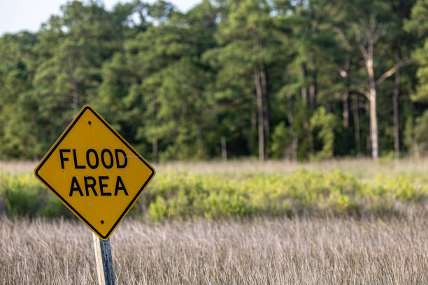 Piney Point, Maryland, USA A Flood Area road sign on a low lying road through marshland.
