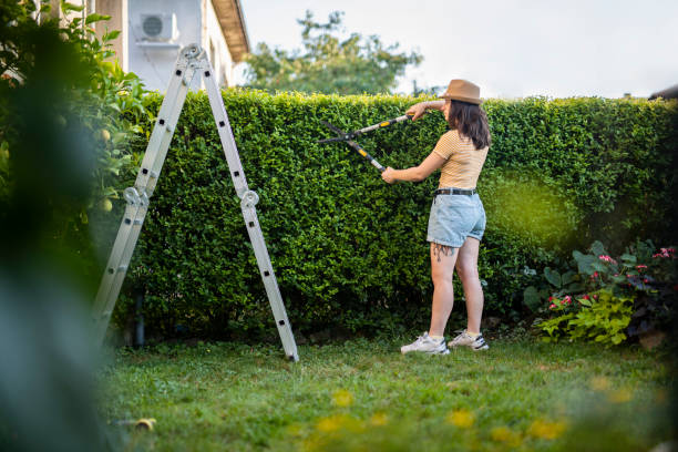 istock Young woman gardening. 1636877896