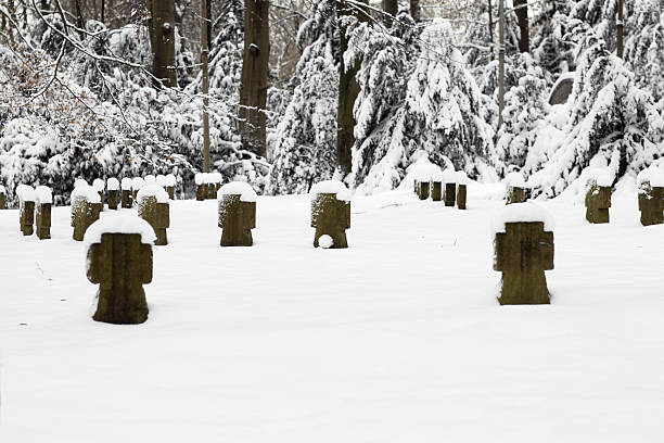 militärfriedhof im winter - san francisco national military cemetery stock-fotos und bilder