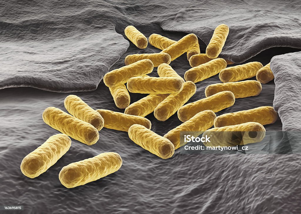 Bacterial colony E.coli bacterial colony. 3D render. Bacterium Stock Photo
