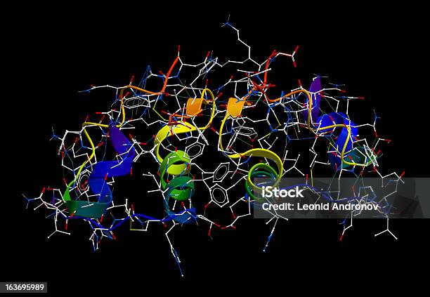 Insulin 3d Molecular Model Stock Photo - Download Image Now - Insulin, Protein, Molecular Structure