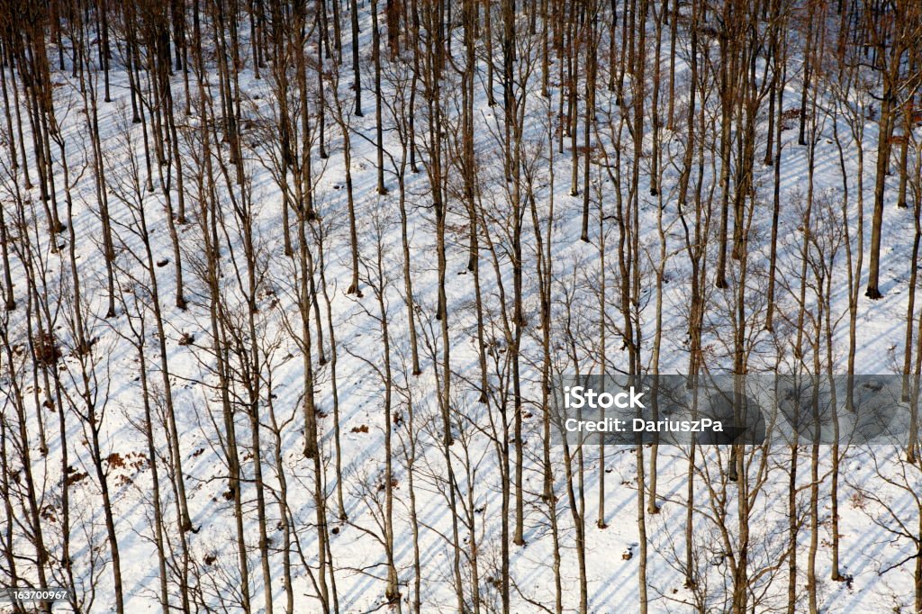 Aerial Foto von einer winter forest - Lizenzfrei Ansicht aus erhöhter Perspektive Stock-Foto