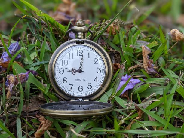 istock classic clock on the grass as a time management concept 1637017239