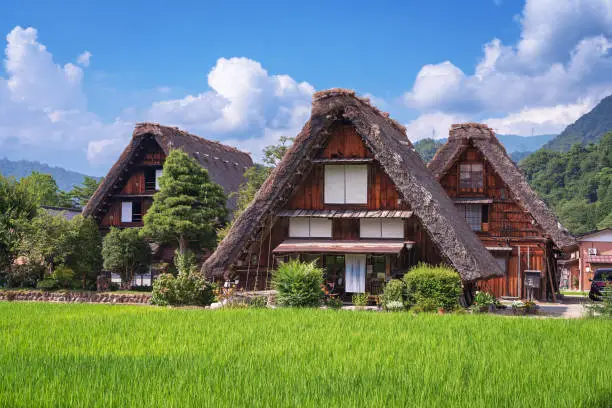 Ogimachi, Shirakawa, Japan with the thatch roof farmhouses in summer.