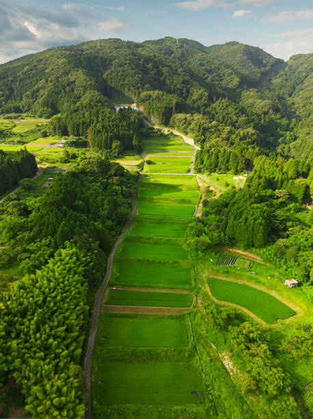 Magome-juku, Japan Rice Terraces