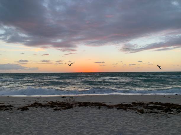 istock Sunrise at Miami Beach, Miami, Florida 1637035943