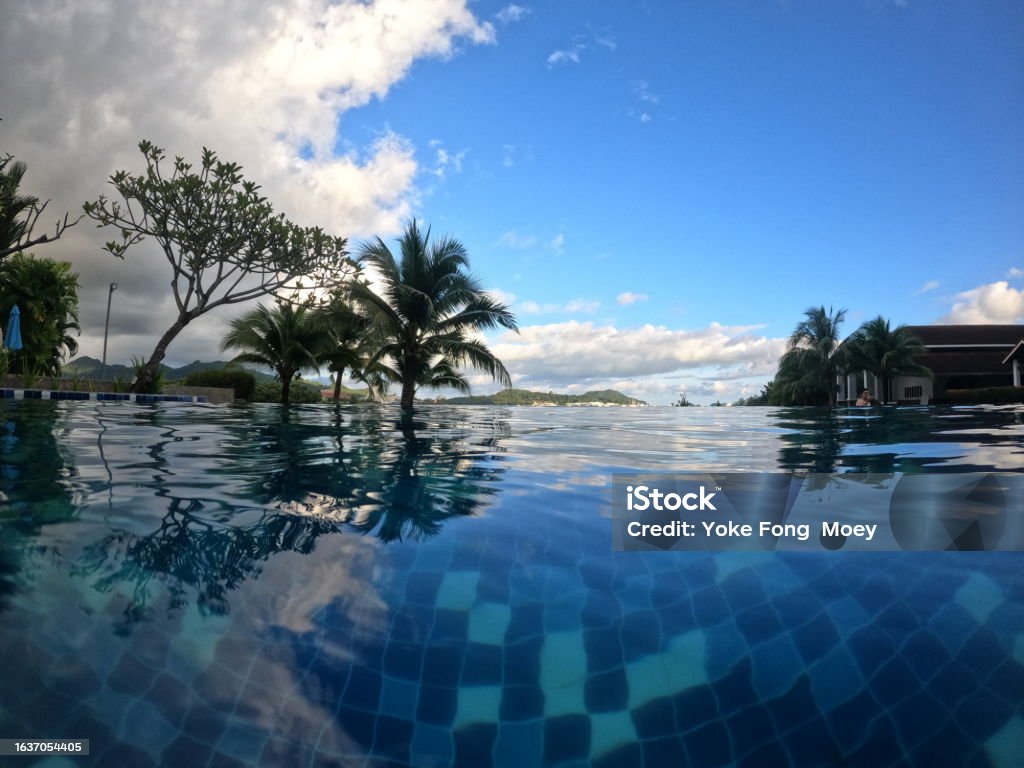 Swimming Pool Relaxing Swimming pool Color Image Stock Photo