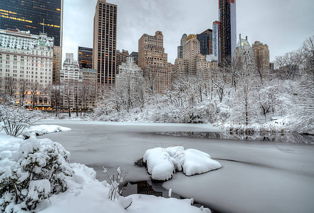 istock Central Park, New York City winter 163708872