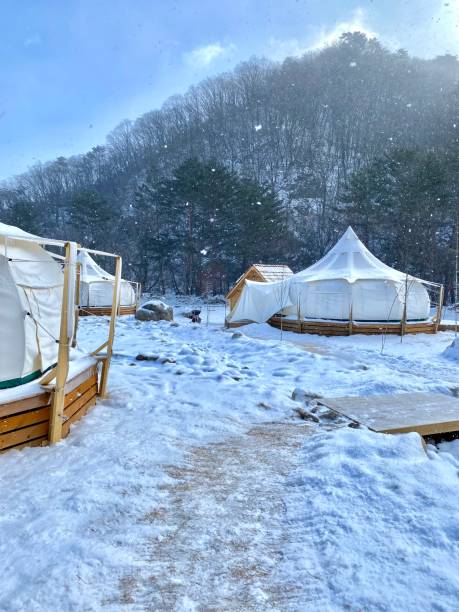 istock Yurts at snowing camping site in mountain 1637103724
