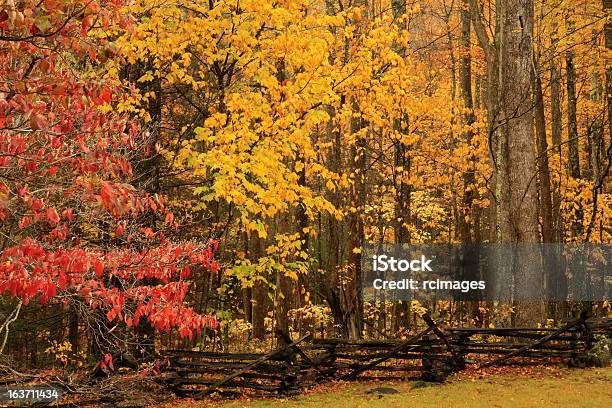 추절 Great Smoky Mountains 0명에 대한 스톡 사진 및 기타 이미지 - 0명, 가로장 울타리, 가을