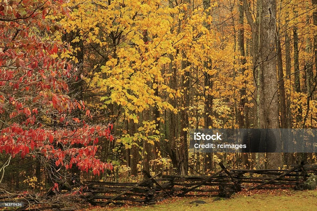 autumn, great smoky mountains autumn, great smoky mountains national park, tennessee Autumn Stock Photo