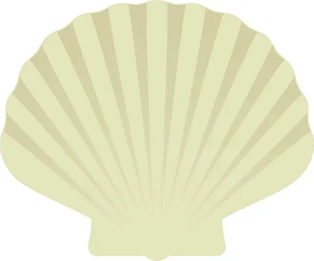 Vector illustration of Scallop Shell