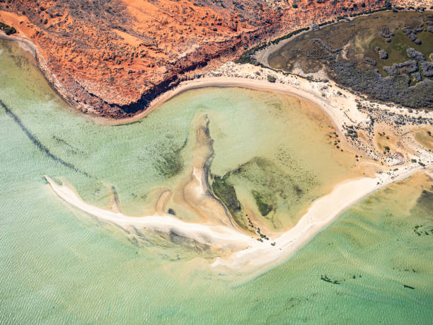 istock Aerial view of remote coastline 1637158554