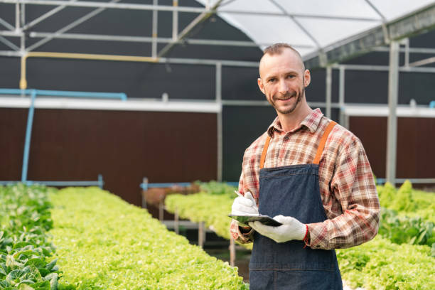 istock Man farmer working in organic hydroponic system farm. Modern vegetable garden owner lettuce vegetable for harvest in greenhouse. Small business healthy food production concept 1637161186