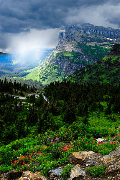 istock Stormy Day at Glacier National Park 163716212
