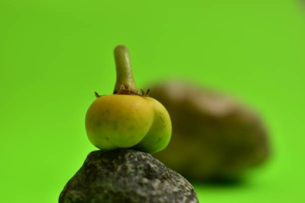 Frutas exóticas de Colombia