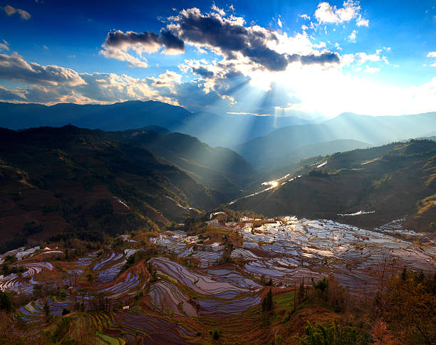 yuanyang com terraço campos - hani imagens e fotografias de stock