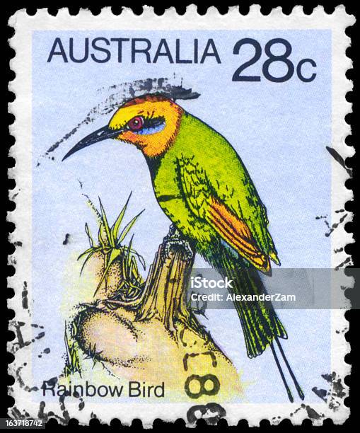 Rainbowbird Stockfoto und mehr Bilder von Alt - Alt, Australien, Bienenfresser - Vogelfamilie