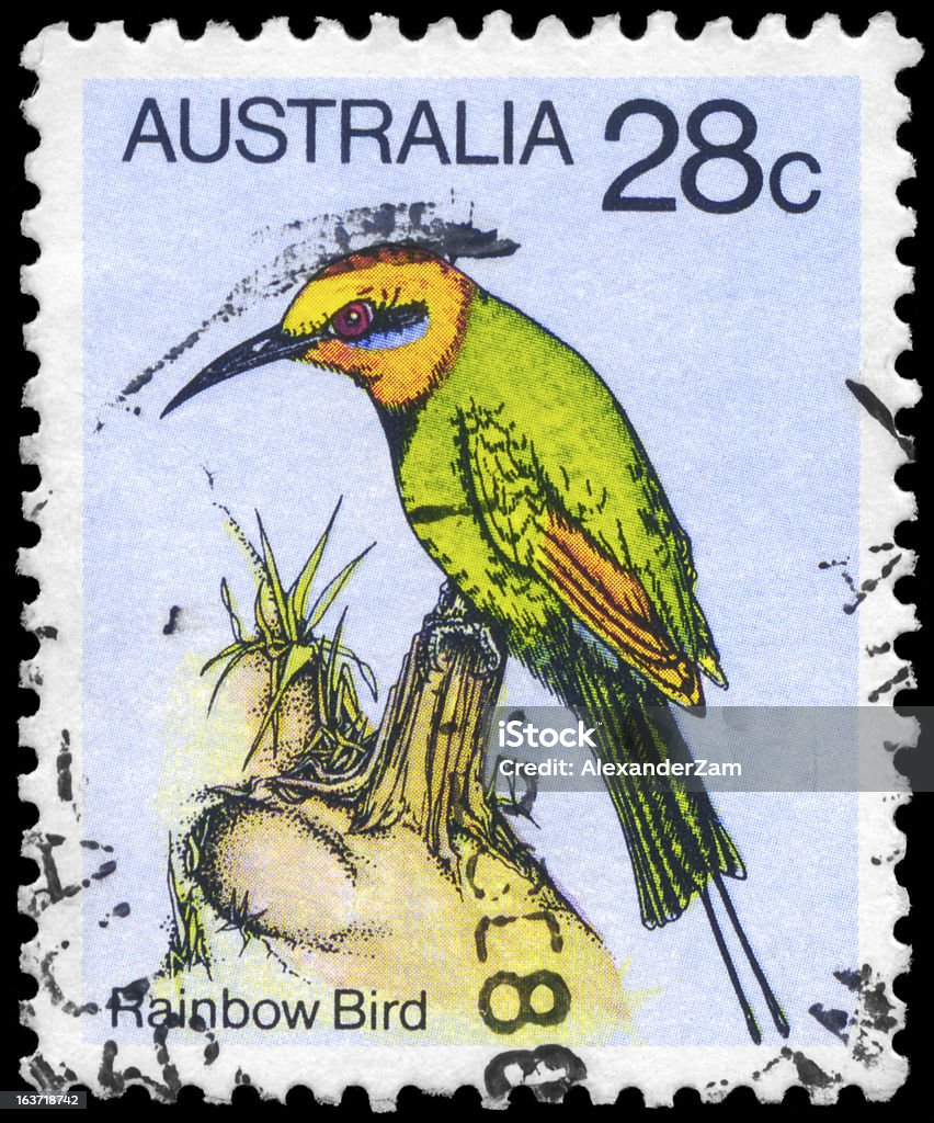 Pássaro de arco-íris - Royalty-free Abelharuco Foto de stock