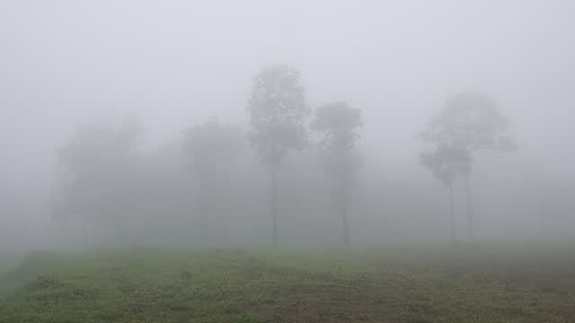 The first wind that hits the thick fog in the morning.