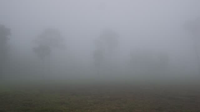 The first wind that hits the thick fog in the morning.