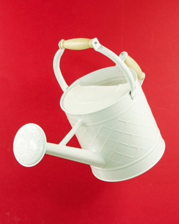 A white metal watering can tiltted on a red background. Copy space.