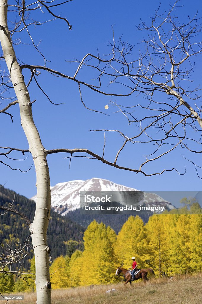 rocky mountain stile di vita - Foto stock royalty-free di Adulto