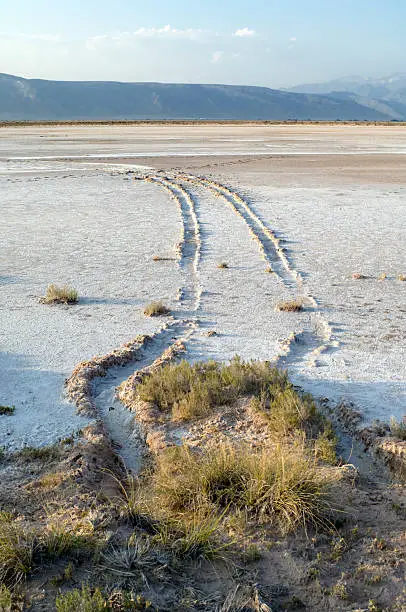 Tracks of joyriders crossing the dried out salt marshes. Evaporated water has created a thick salt crust in the desert of Cuatro Cienegas, north Mexico. Cuatrocienegas is a protected aerea and a national park.