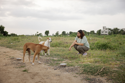 Indian woman taking care of stray dogs on a dirt road in India