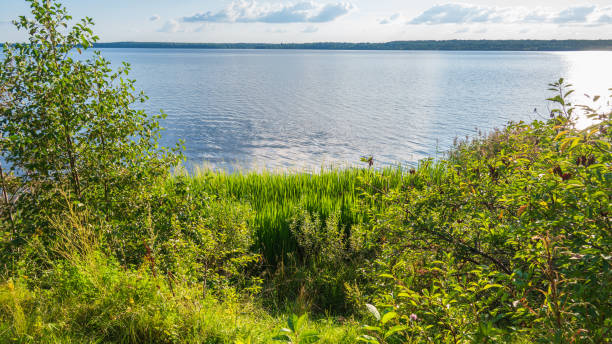 istock Air sunny summer landscape with large river, far forest under blue sky with white clouds. Natural summer background. 1637251904