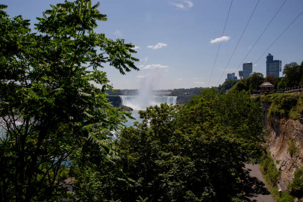 istock Trees on Lake Ontario in Canada 1637252950